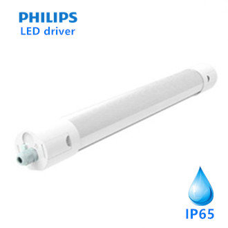 Mededogen vermijden steekpenningen LED Batten armatuur rond 120cm 36W 6000k/koelwit IP65 # Philips driver -  ledpanelswholesale